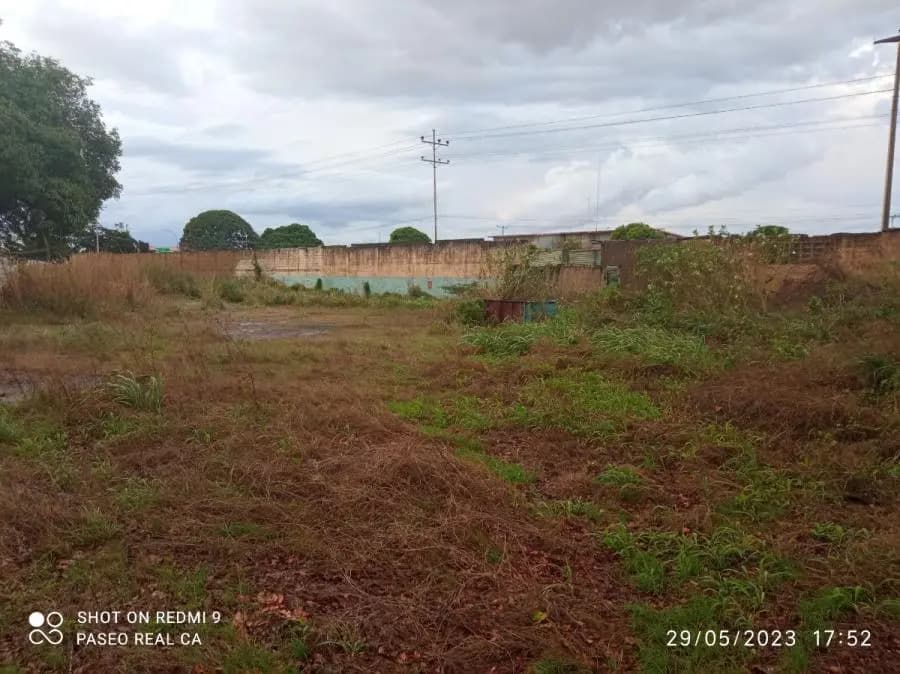 Terreno en Venta en El Tigre - 5