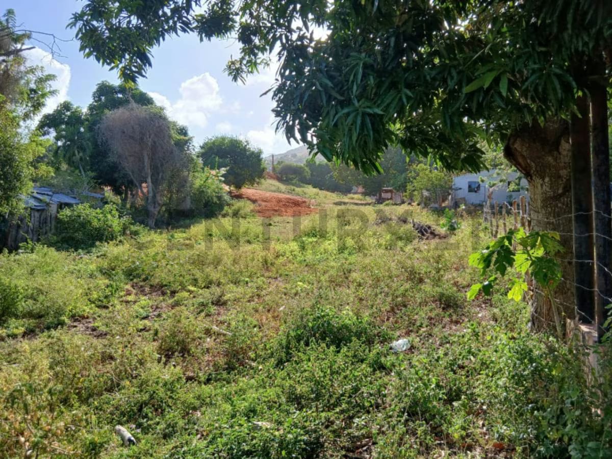 TERRENO CERCA DEL MAR, SECTOR LOMA DE GUERRA, ISLA DE MARGARITA - 2