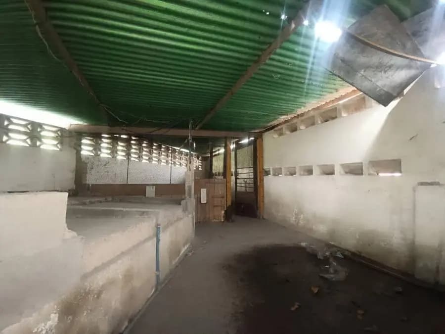 Galpon en Venta en Puerto la Cruz - 17