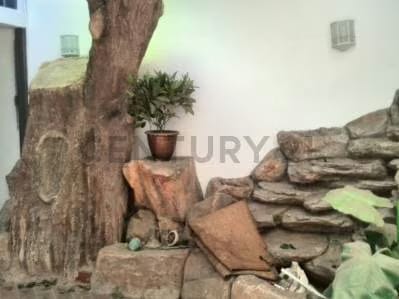 Casa en alquiler, en Los Caobos, en la Prolongación de la Calle Los Manolos AH - 4