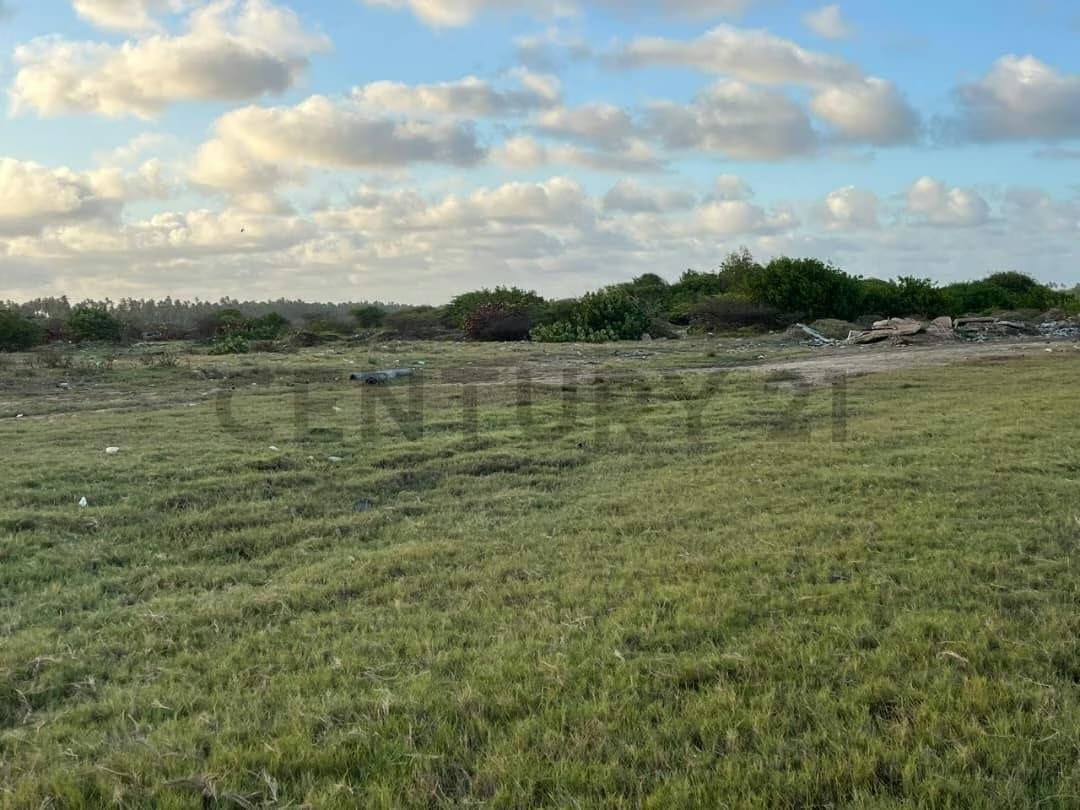 Terreno Turistico a Orilla de Playa en Chichiriviche Falcon - 6