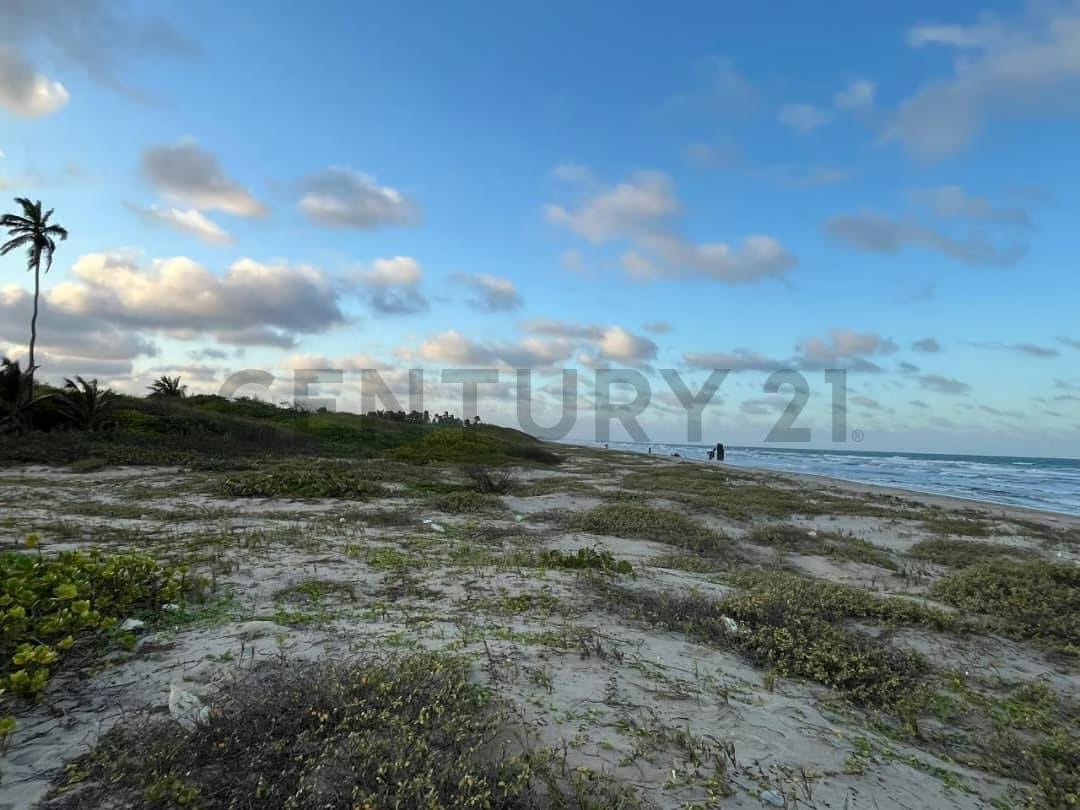 Terreno Turistico a Orilla de Playa en Chichiriviche Falcon - 9