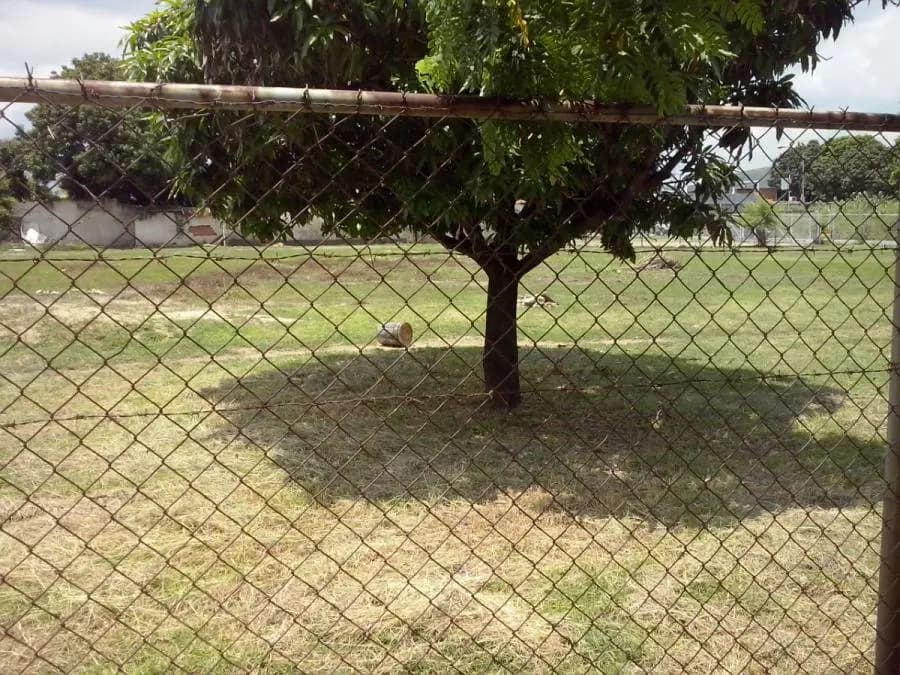 Terreno en Venta en Guacara - 16