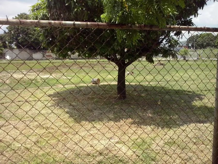 Terreno en Venta en Guacara - 19