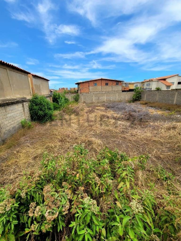 TERRENO PERIMETRADO EN NUEVA BARCELONA