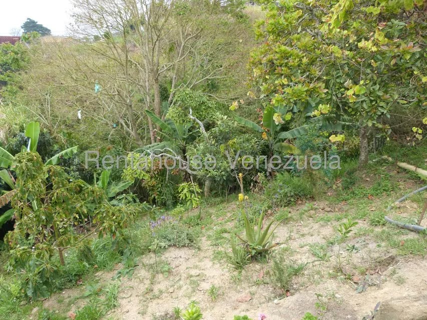 Terreno (Residencial) en Venta en El Tibron, Vargas - 26