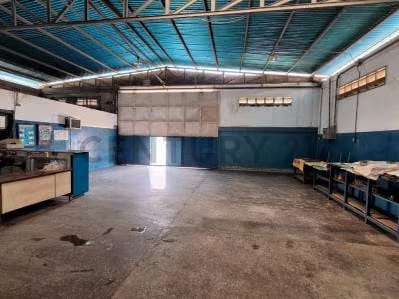 Complejo de Galpones en Cumaná Estado Sucre - 3