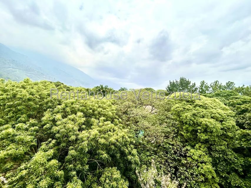 Apartamento (1 Nivel) en Alquiler en Alta Florida, Distrito Metropolitano - 3