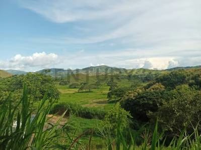 PRODUCTIVA FINCA AGRO TURISTICA DE ALTO POTENCIAL. en Carabobo.
