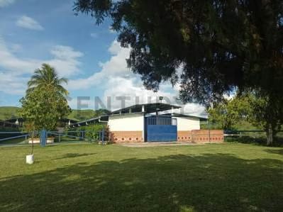 PRODUCTIVA FINCA AGRO TURISTICA DE ALTO POTENCIAL. en Carabobo. - 4
