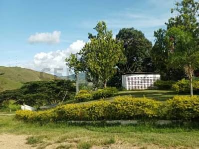 PRODUCTIVA FINCA AGRO TURISTICA DE ALTO POTENCIAL. en Carabobo. - 6