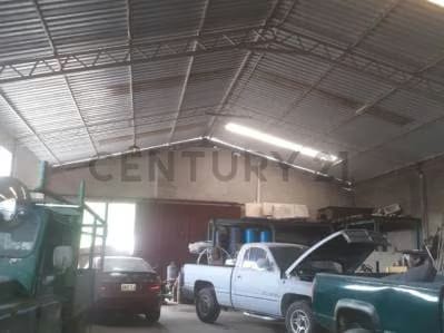 Venta de Galpón - 5