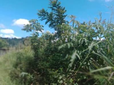 Oportunidad Venta de Terreno en Las Lomas de Sabaneta El Hatillo - 3