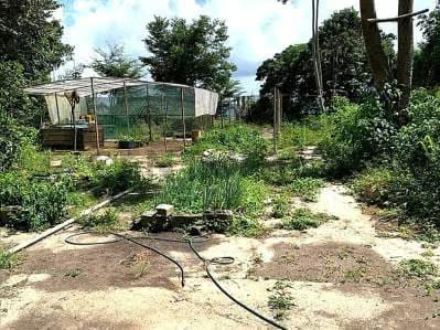 EN VENTA. Grandioso Terreno con Proyecto Multifamiliar Aprobado - 4