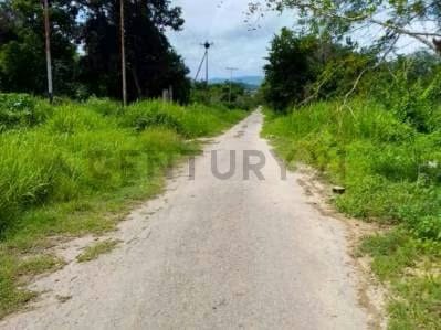 Terreno Industrial listo para construir - 2