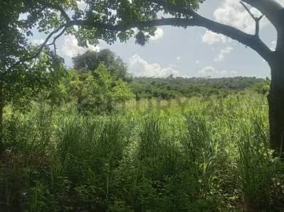 Terreno Industrial listo para construir - 4