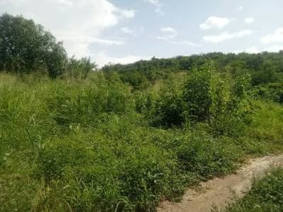 Terreno Industrial listo para construir - 5