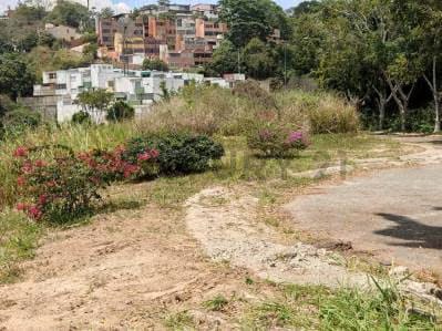 CD. Terreno Residencial en la Urb Lomas de la Trinidad. - 3