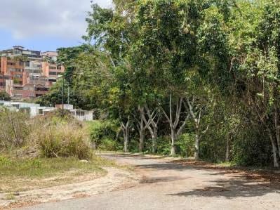 CD. Terreno Residencial en la Urb Lomas de la Trinidad. - 4