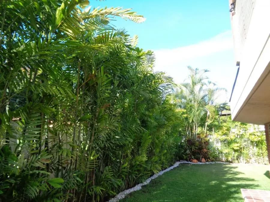 Casa en Venta en Macaracuay Caracas - 14