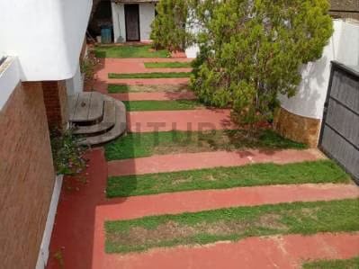 Club de Playa en el Yaque Tacamajaca - 2