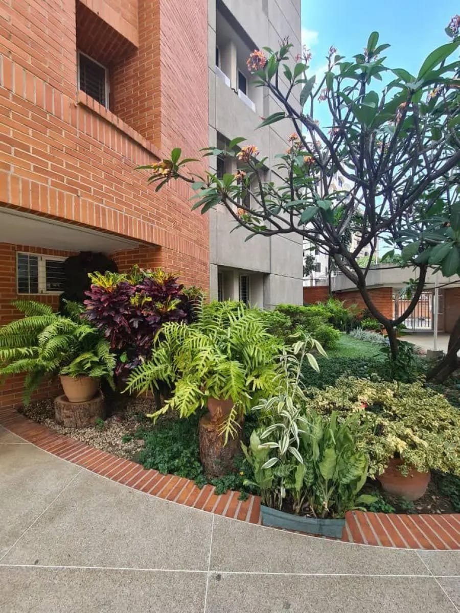 Apartamento en Alquiler en San jose Valencia - 11