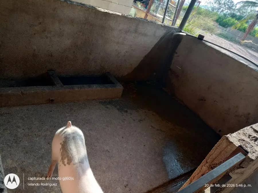 Galpon en Venta en Sucre Lagunillas