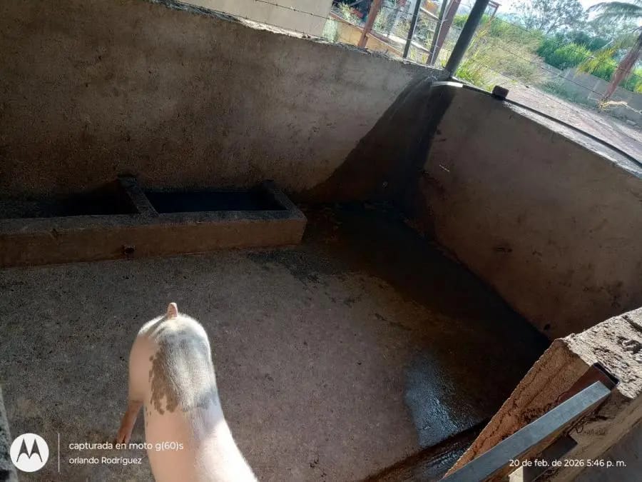 Galpon en Venta en Sucre Lagunillas