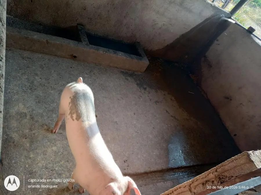 Galpon en Venta en Sucre Lagunillas - 43