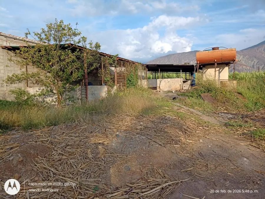 Galpon en Venta en Sucre Lagunillas - 53