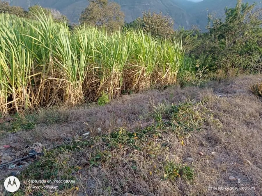 Galpon en Venta en Sucre Lagunillas - 58