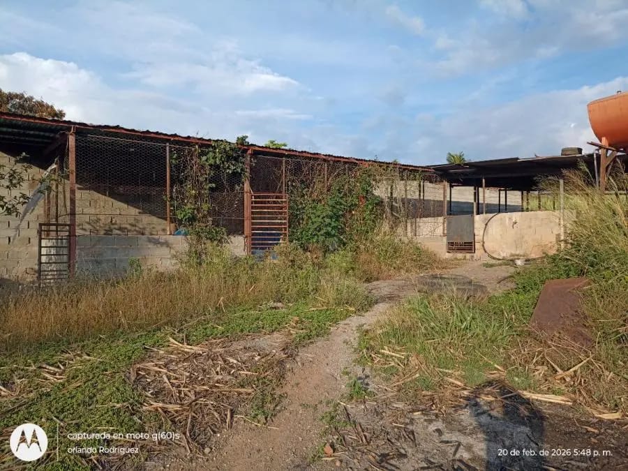 Galpon en Venta en Sucre Lagunillas - 62