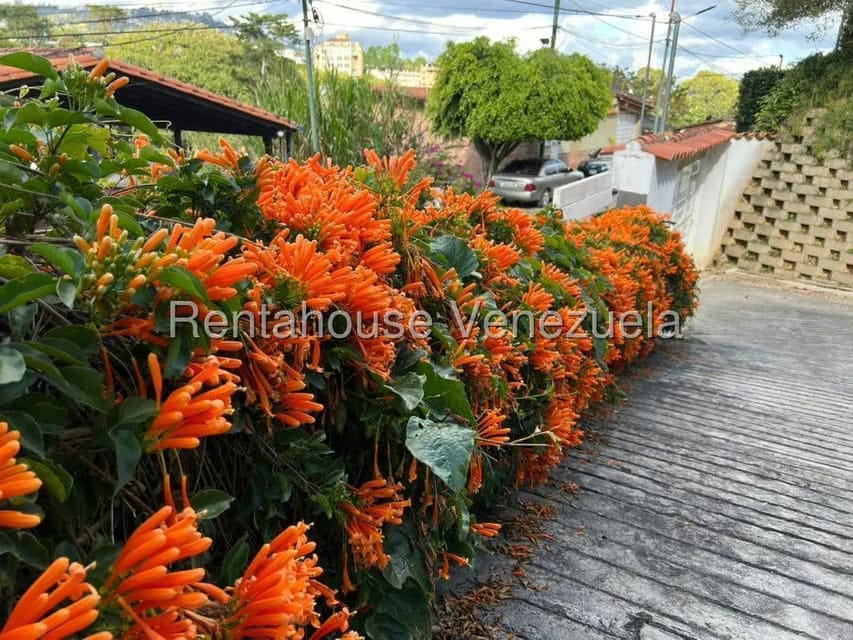 Casa (Duplex) en Venta en Oripoto, Distrito Metropolitano - 2