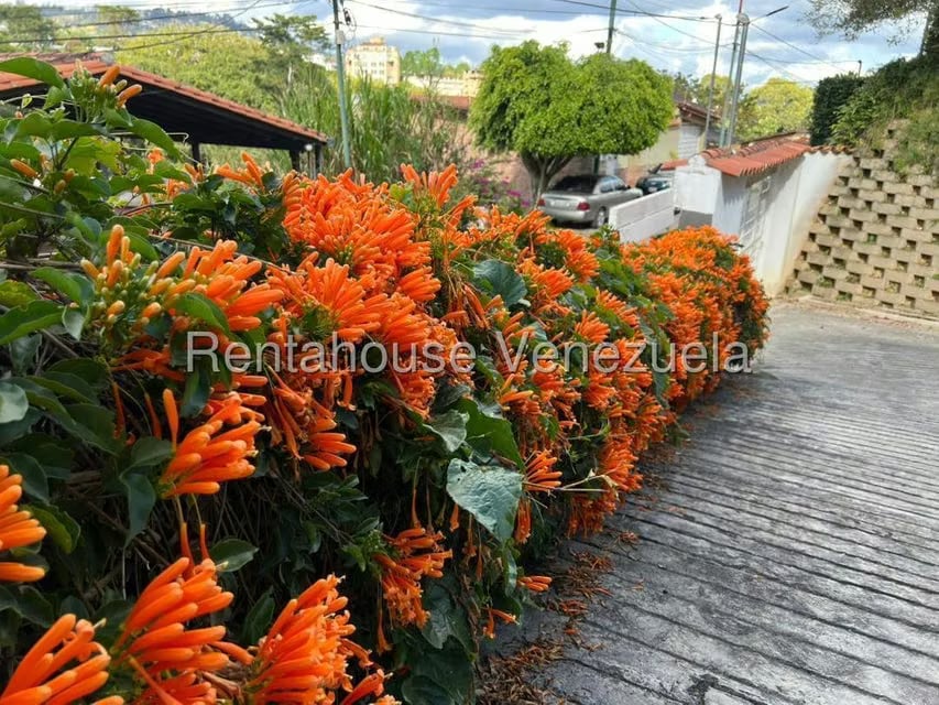 Casa (Duplex) en Venta en Oripoto, Distrito Metropolitano - 2