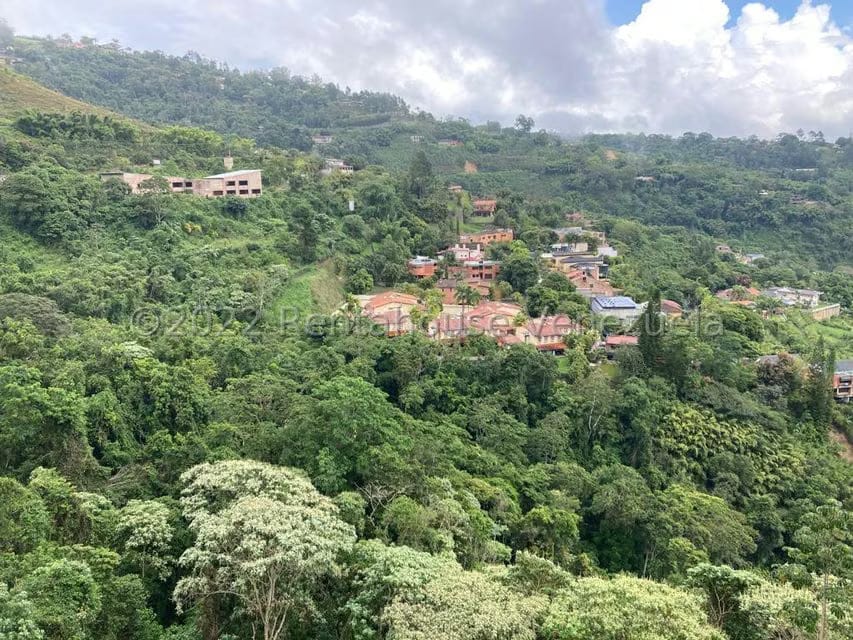 Apartamento (Duplex) en Venta en Oripoto, Distrito Metropolitano - 23