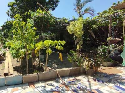 Casa Porlamar. Margarita - 7