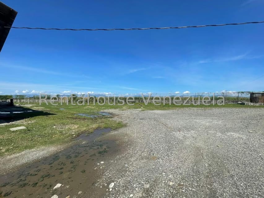 Comercial (Galpon - Deposito) en Alquiler en Miraflores, Portuguesa - 3