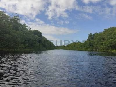 CD. Conjunto Vacacional Agua Miel. - 5