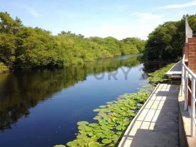 CD. Conjunto Vacacional Agua Miel. - 6