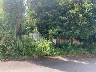 Terreno ubicado en Los Guayabitos, Urbanización Residencias El Placer - 2