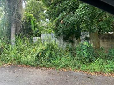 Terreno ubicado en Los Guayabitos, Urbanización Residencias El Placer - 3