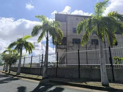 Oficina en alquiler Puerto Ordaz, Los Pinos Avenida principal - 5