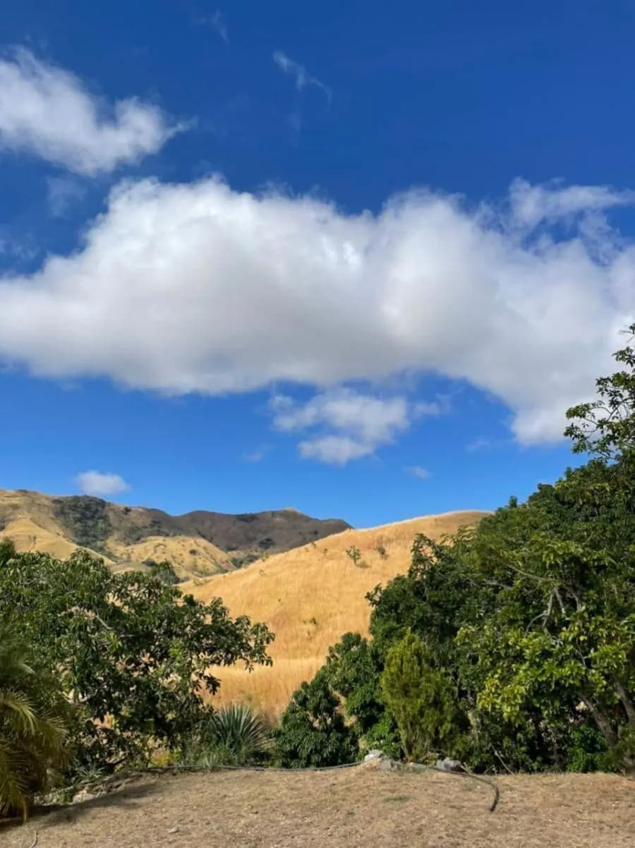 Terreno en Venta en San Casimiro - 13