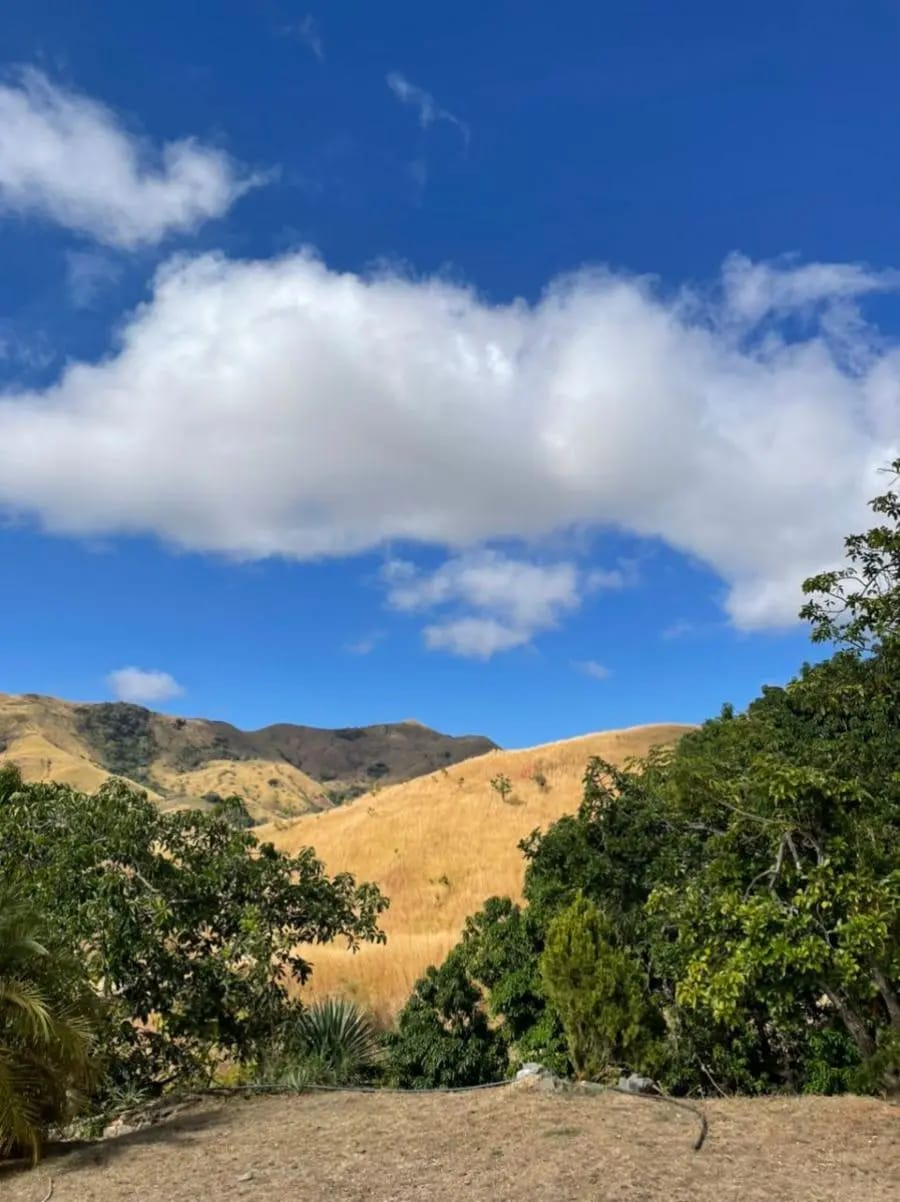 Terreno en Venta en San Casimiro - 13