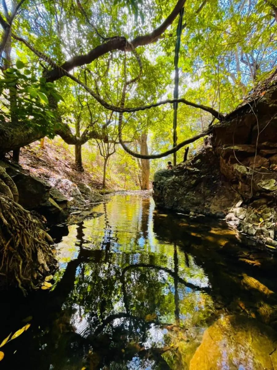 Terreno en Venta en San Casimiro - 9