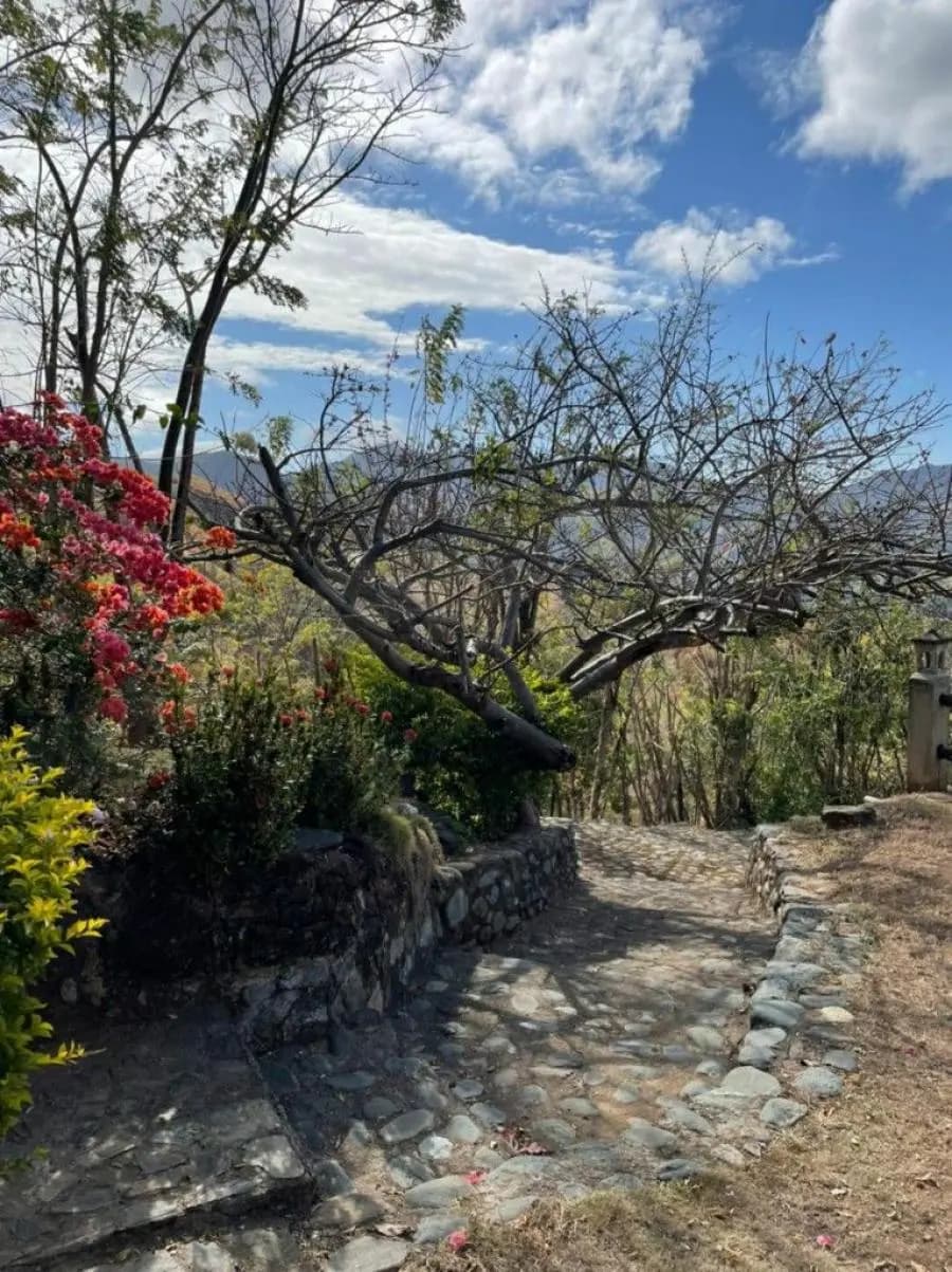 Terreno en Venta en San Casimiro - 10