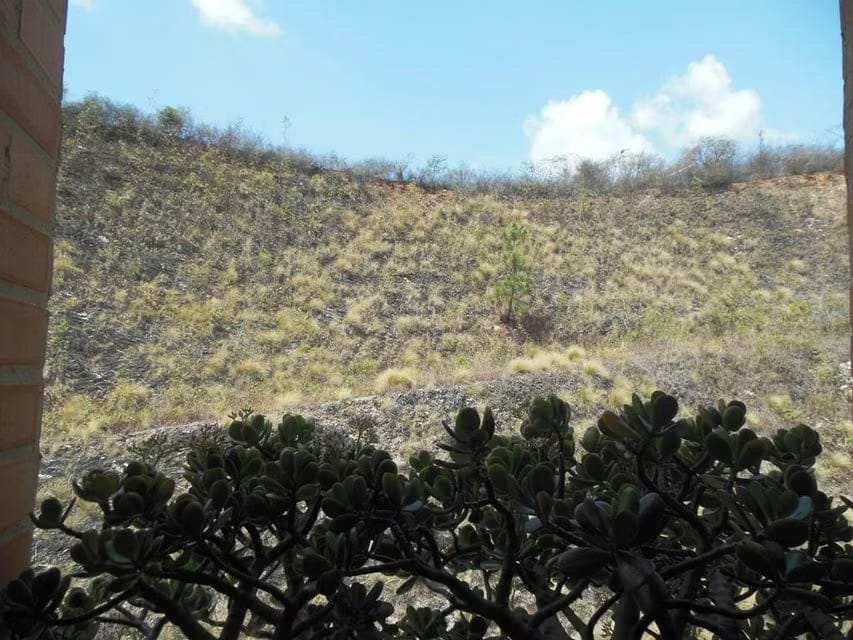 Apartamento (Multiples Niveles) en Venta en Los Campitos, Distrito Metropolitano - 26