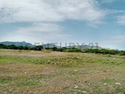 Terreno para proyecto av. Bicentenario - 5