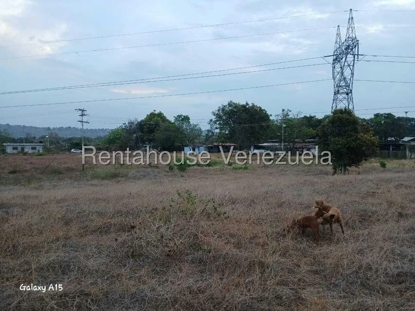 Terreno (Finca) en Venta en Santa Lucia, Miranda - 10