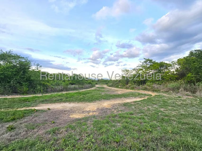 Terreno (Comercial) en Venta en Ave Intercomunal, Lara